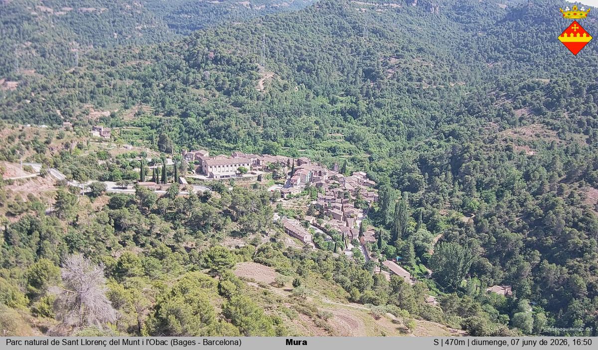 Mura 