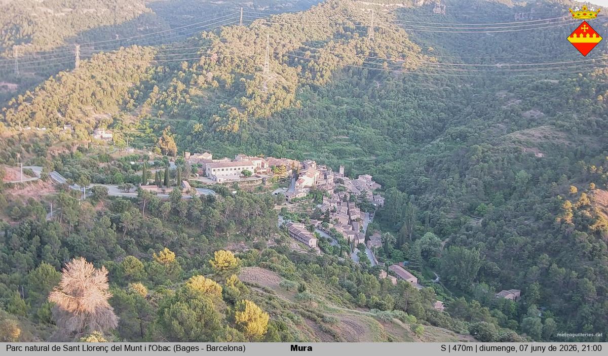 Mura 