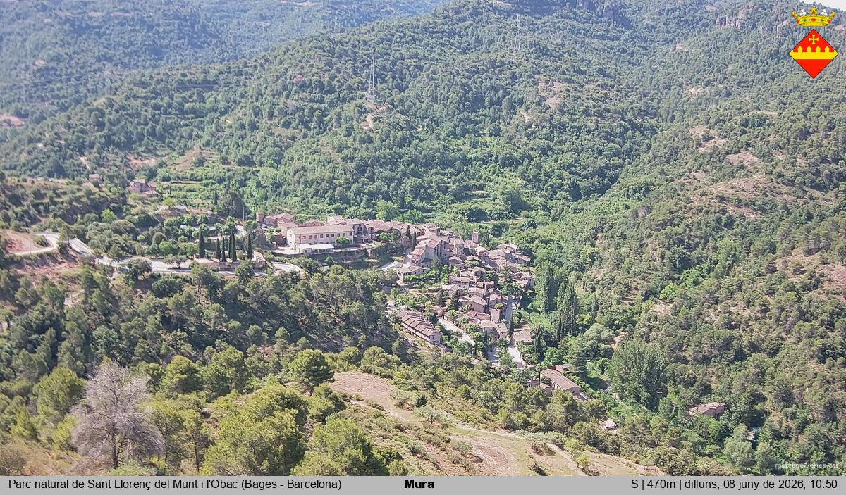 Mura 