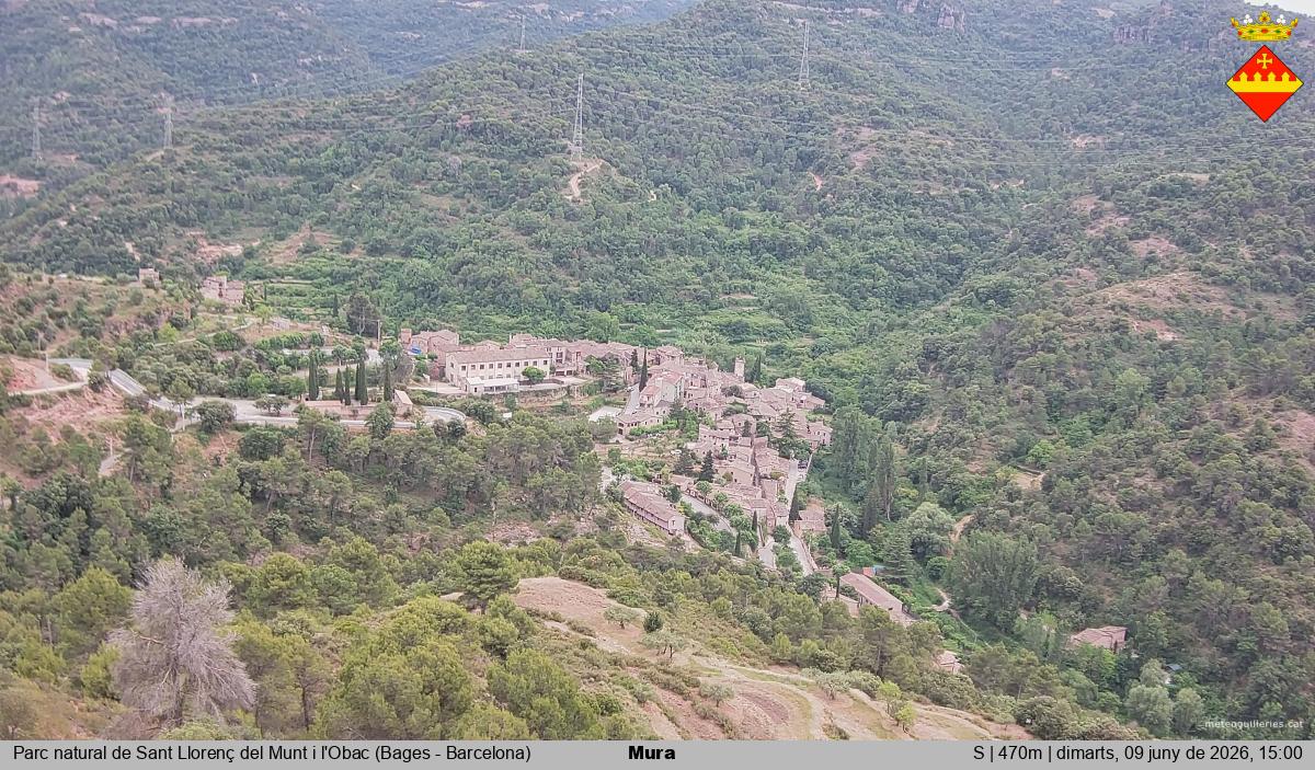 Mura 