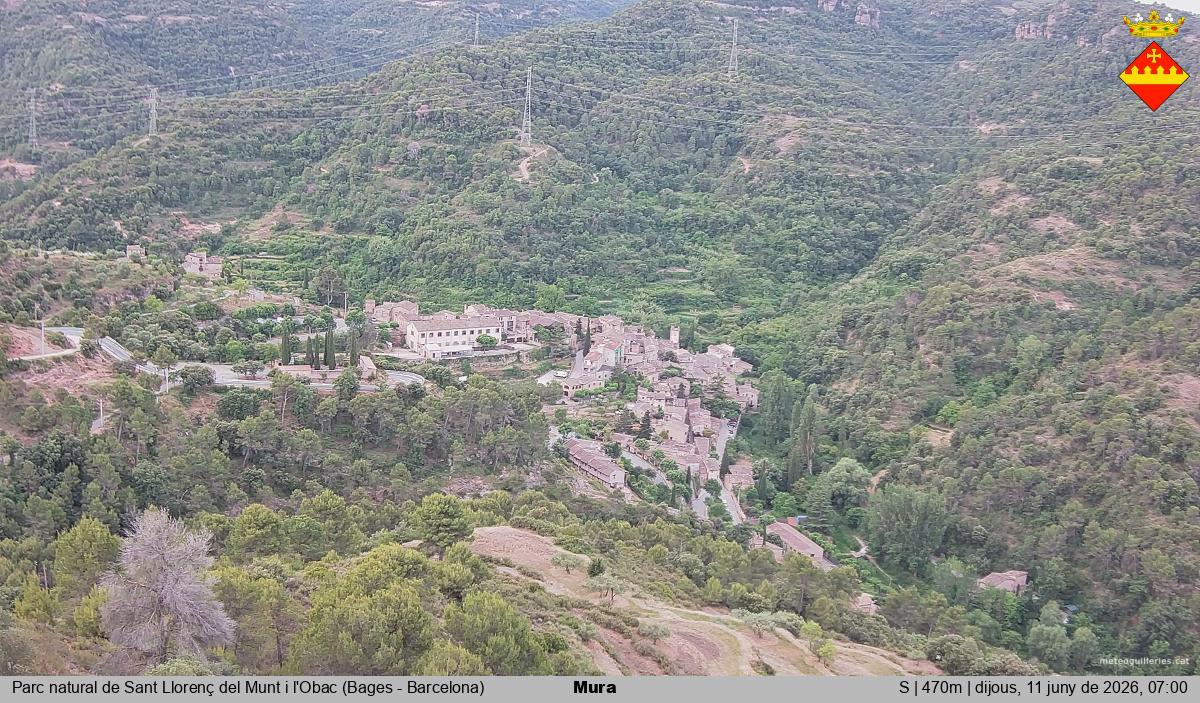 Mura 