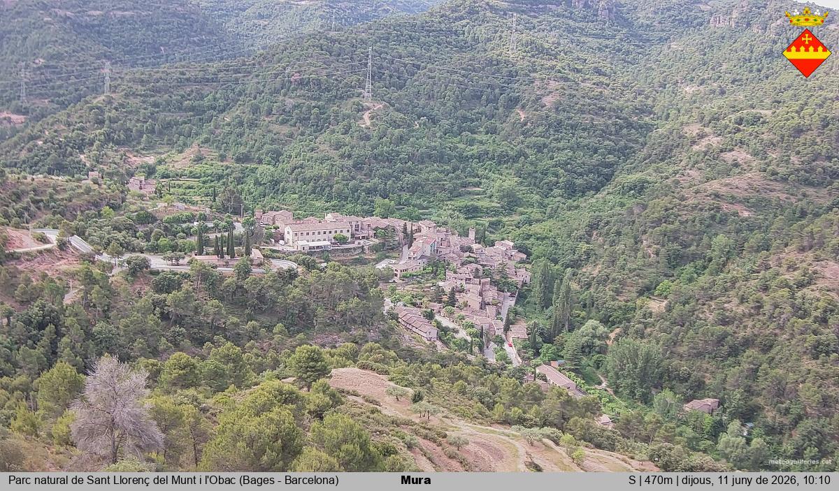 Mura 