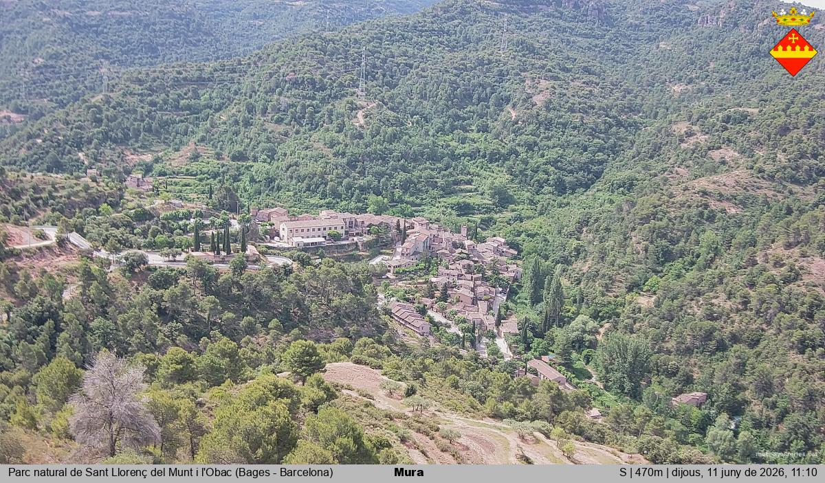 Mura 