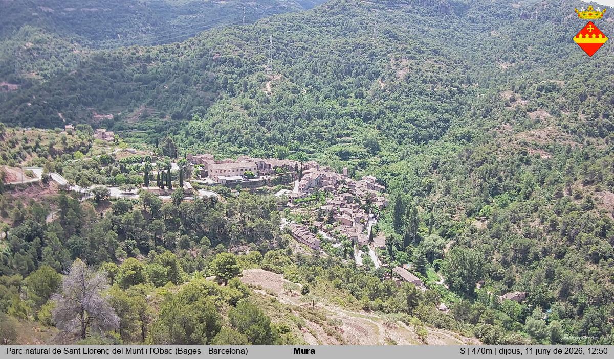 Mura 