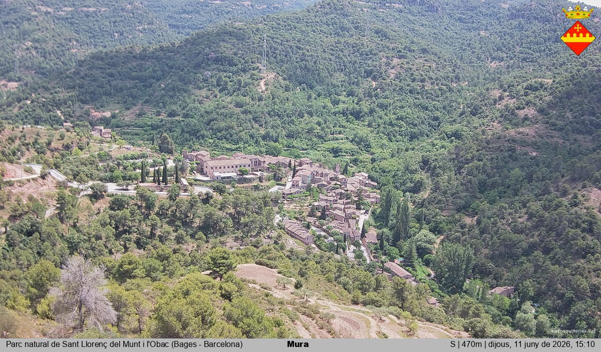 Mura 