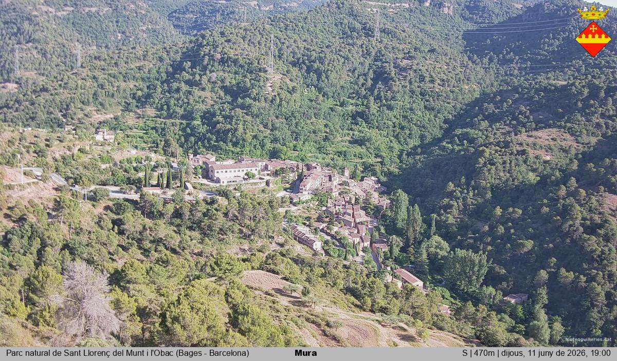 Mura 
