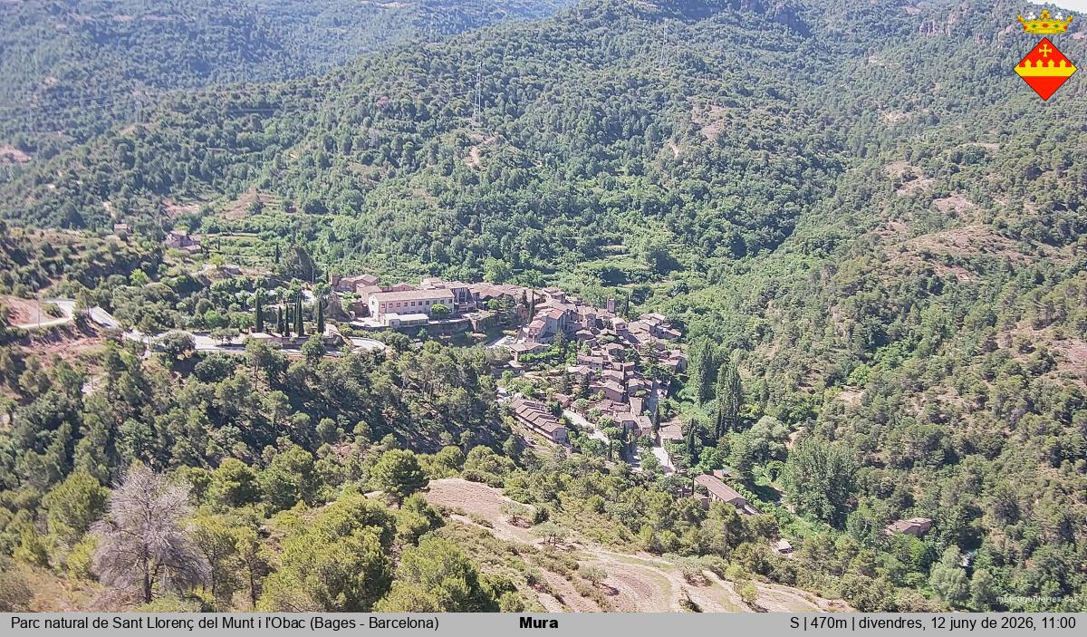 Mura 