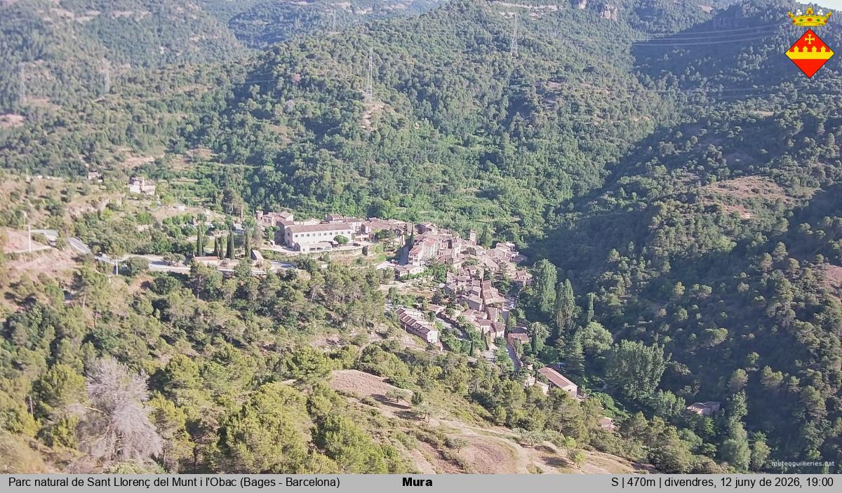 Mura 