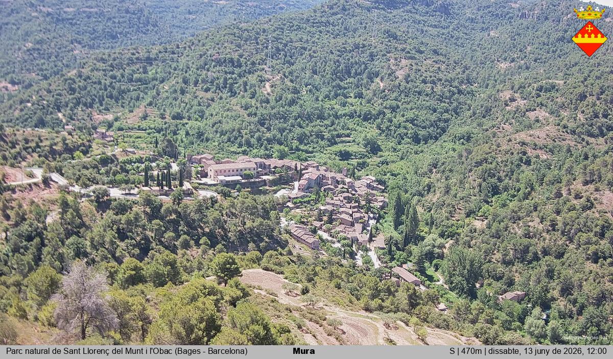 Mura 