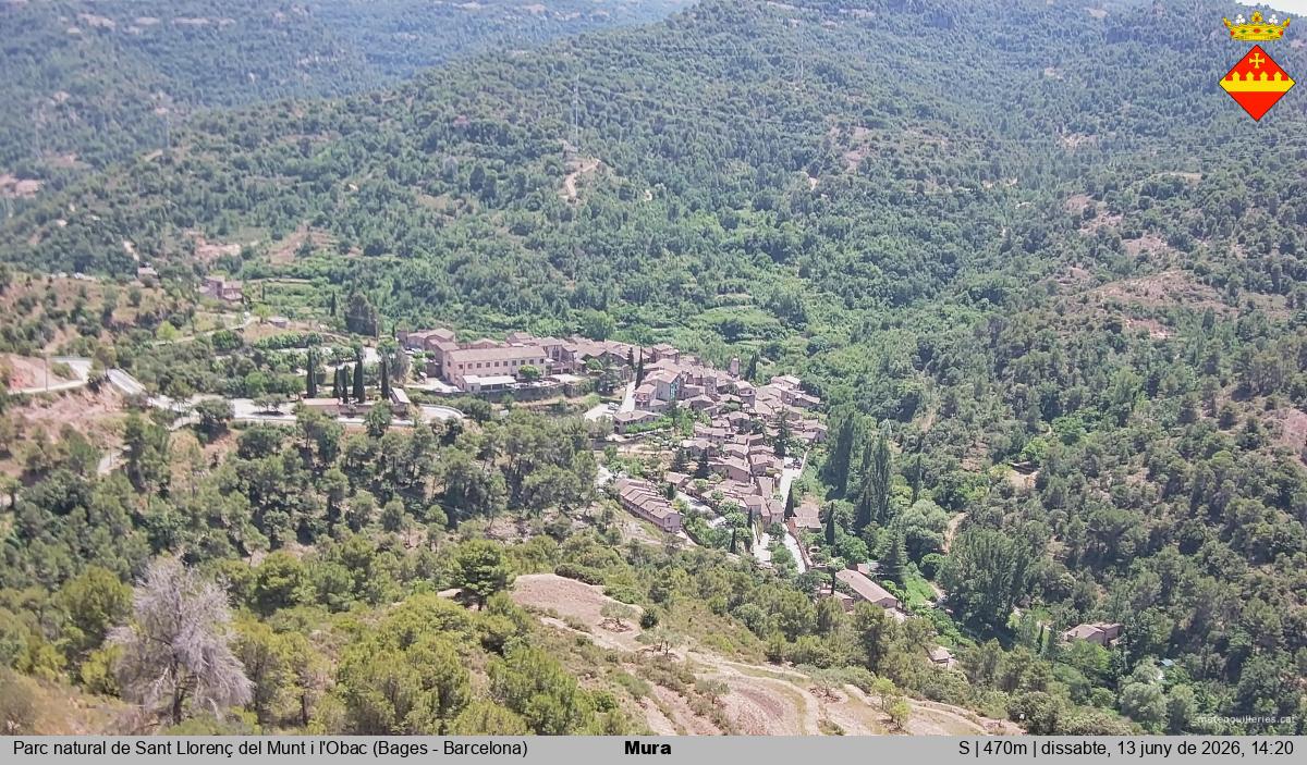 Mura 