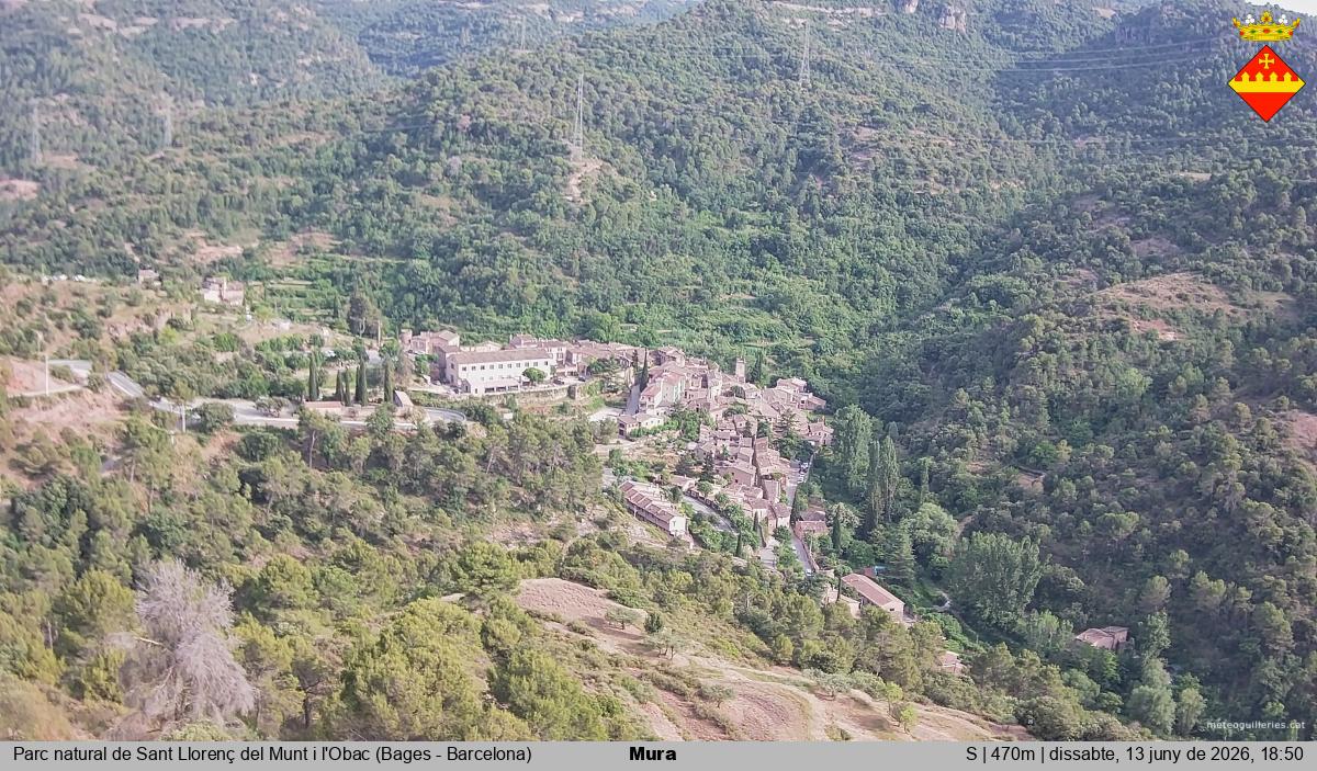 Mura 