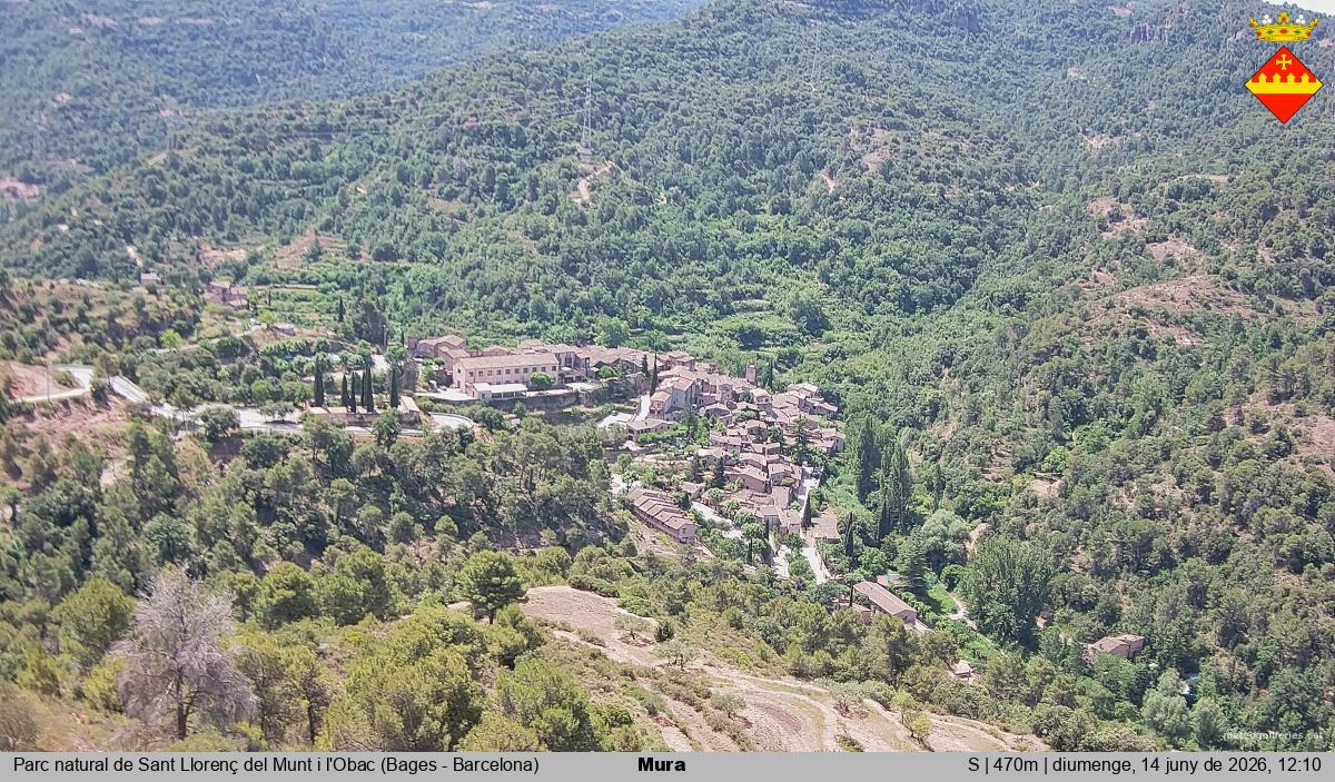 Mura 