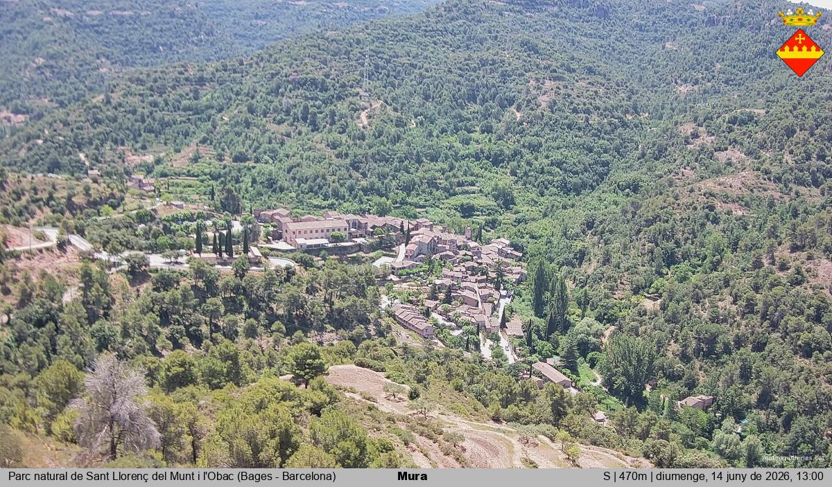 Mura 
