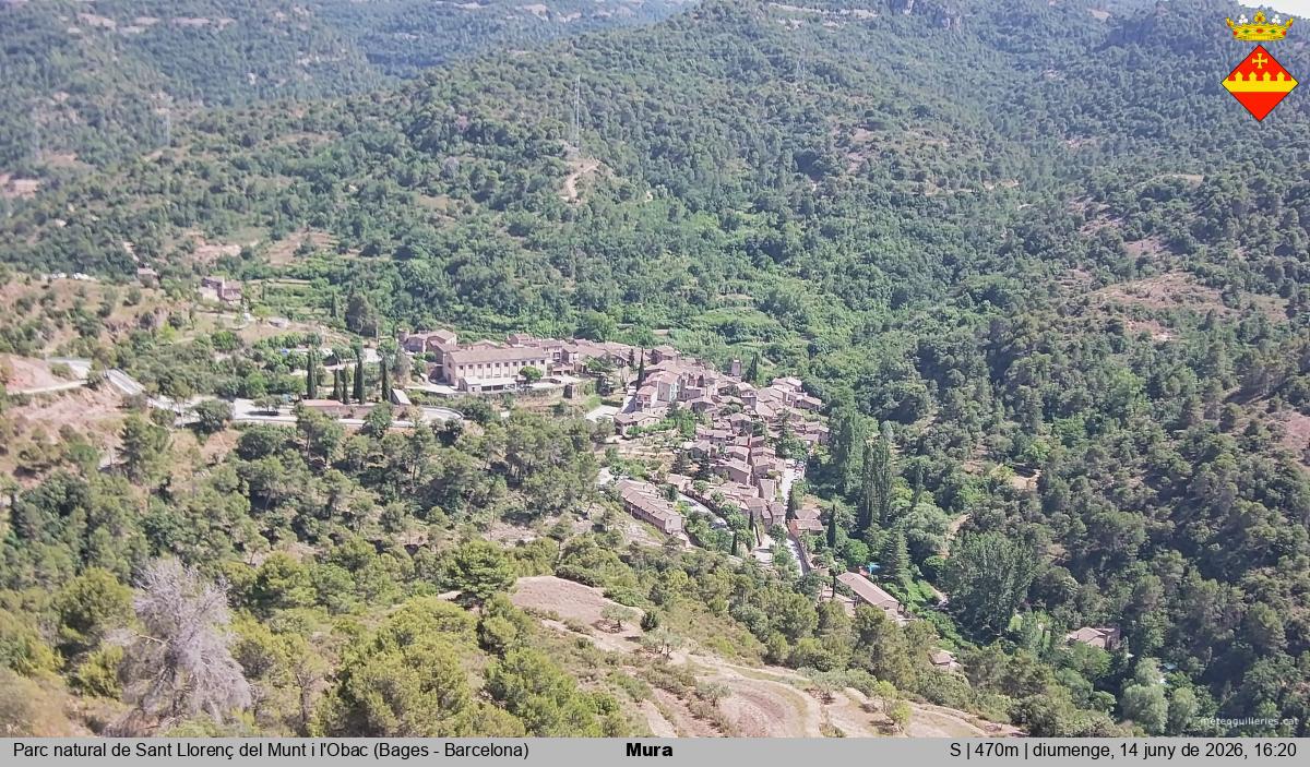 Mura 