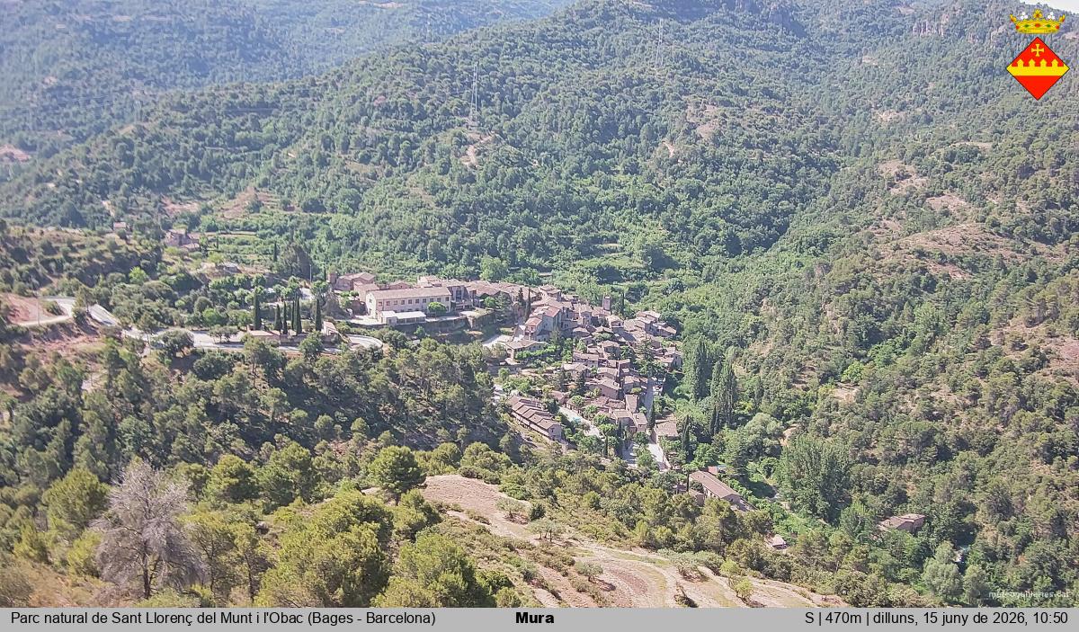 Mura 
