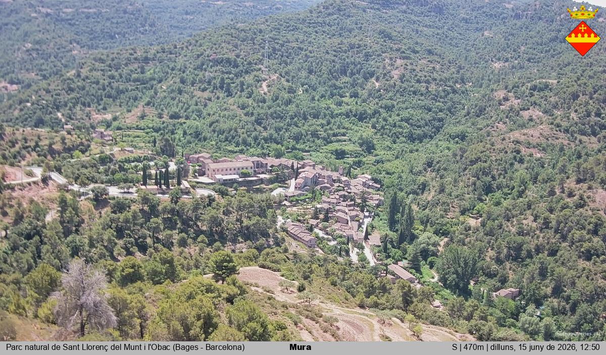 Mura 