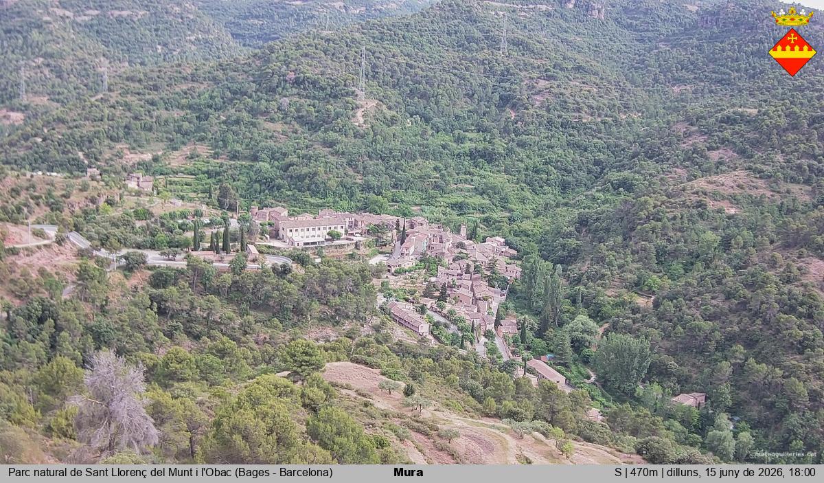 Mura 