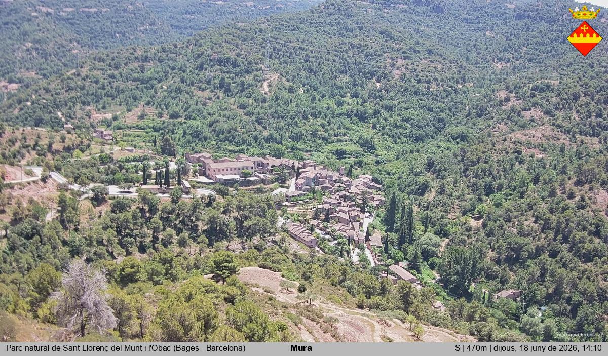 Mura 