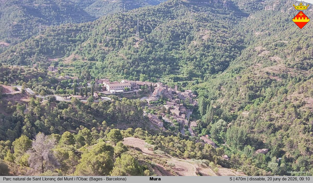 Mura 
