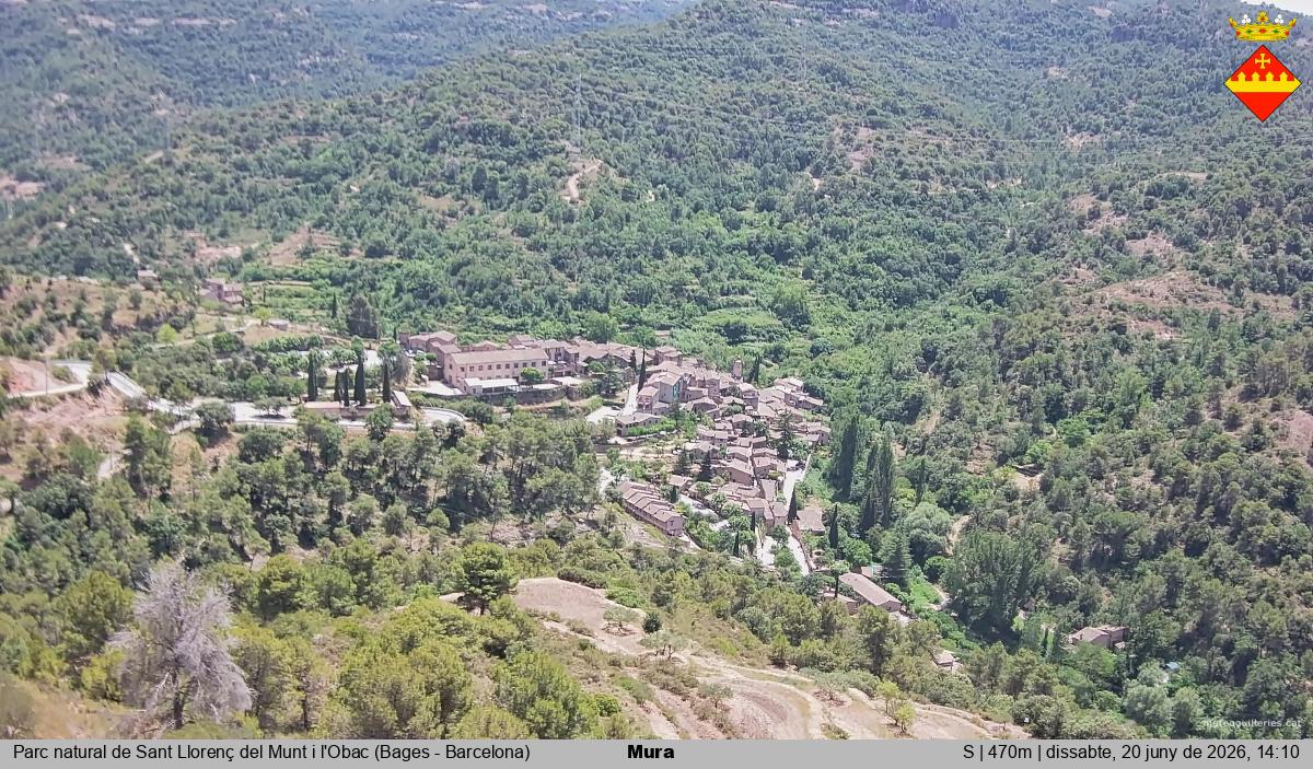 Mura 