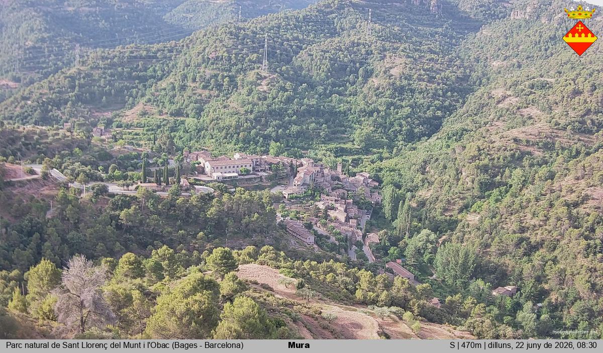 Mura 