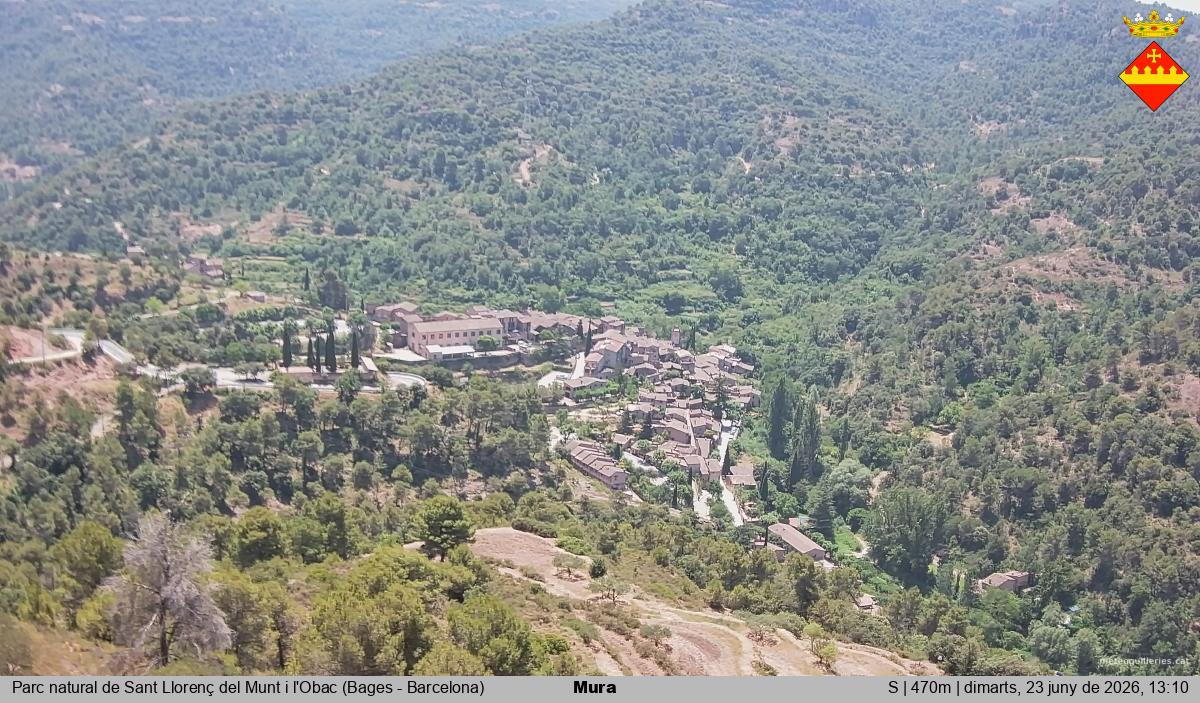 Mura 