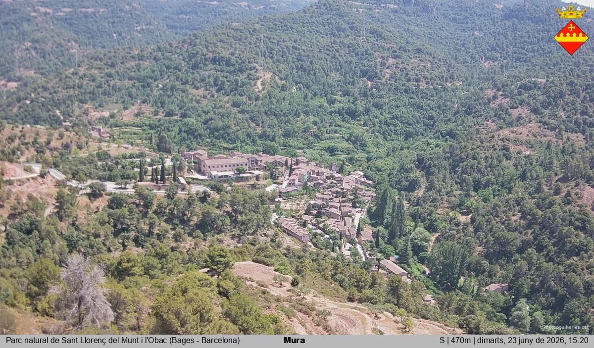 Mura 