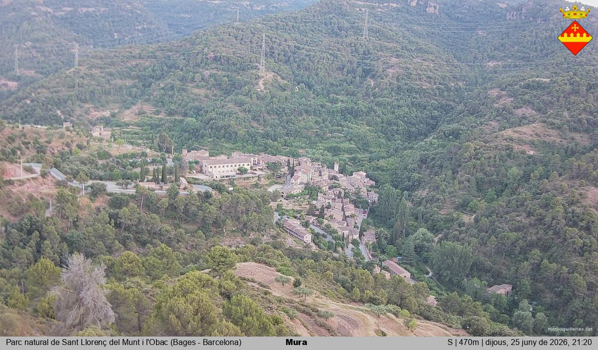 Mura 