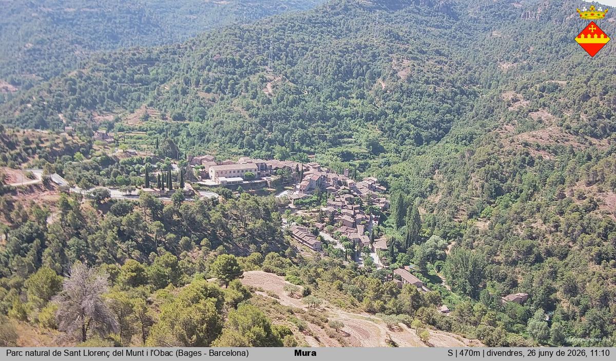 Mura 