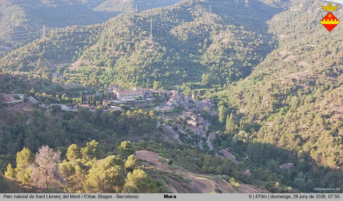 Mura 