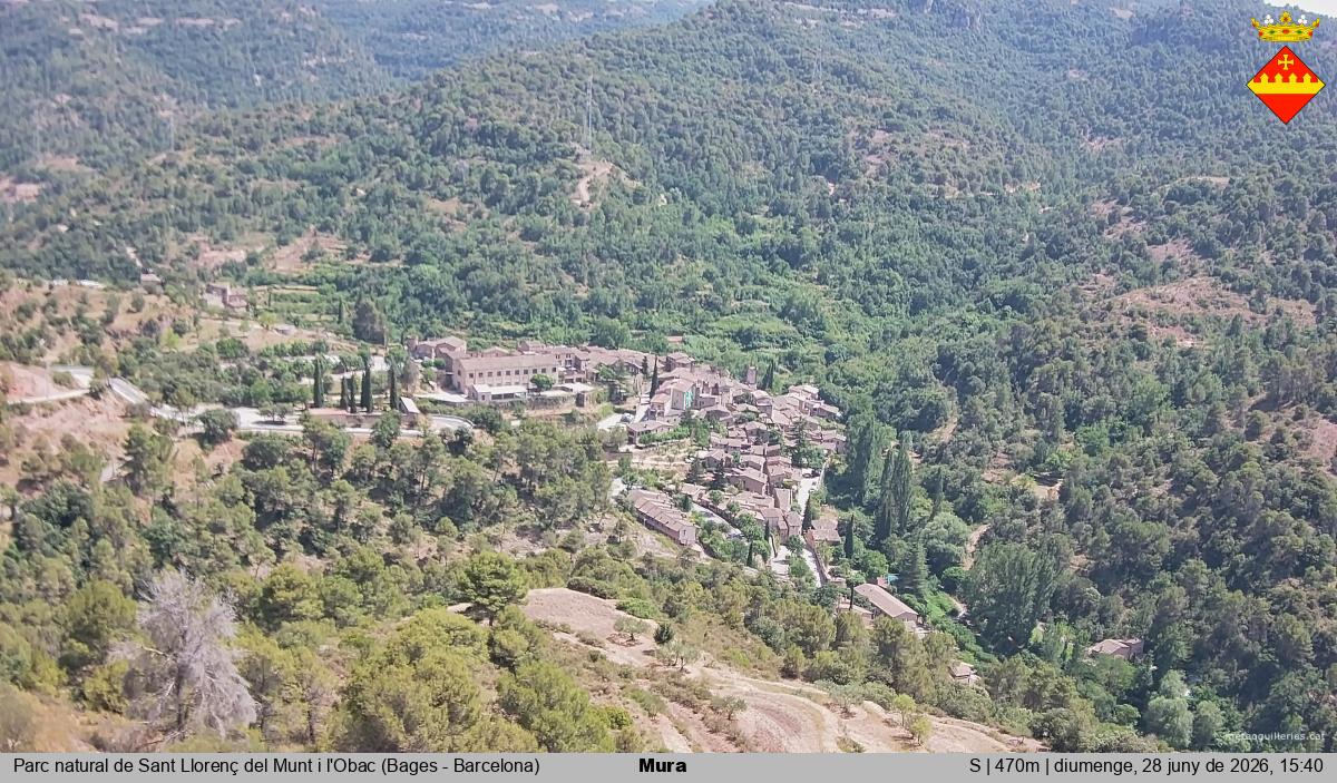 Mura 