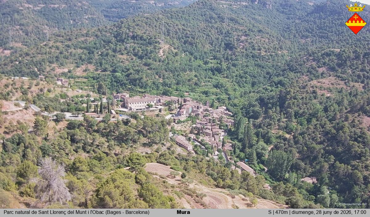 Mura 