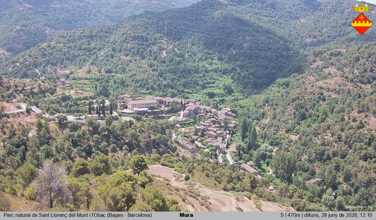 Mura 