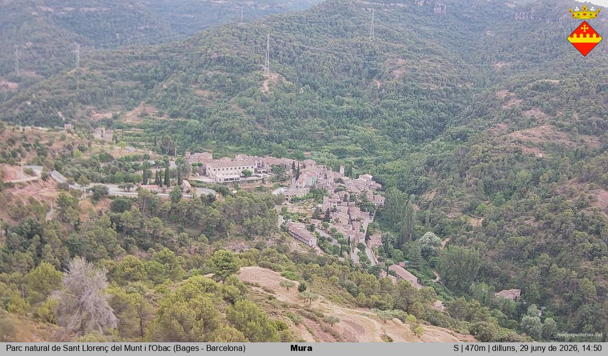 Mura 