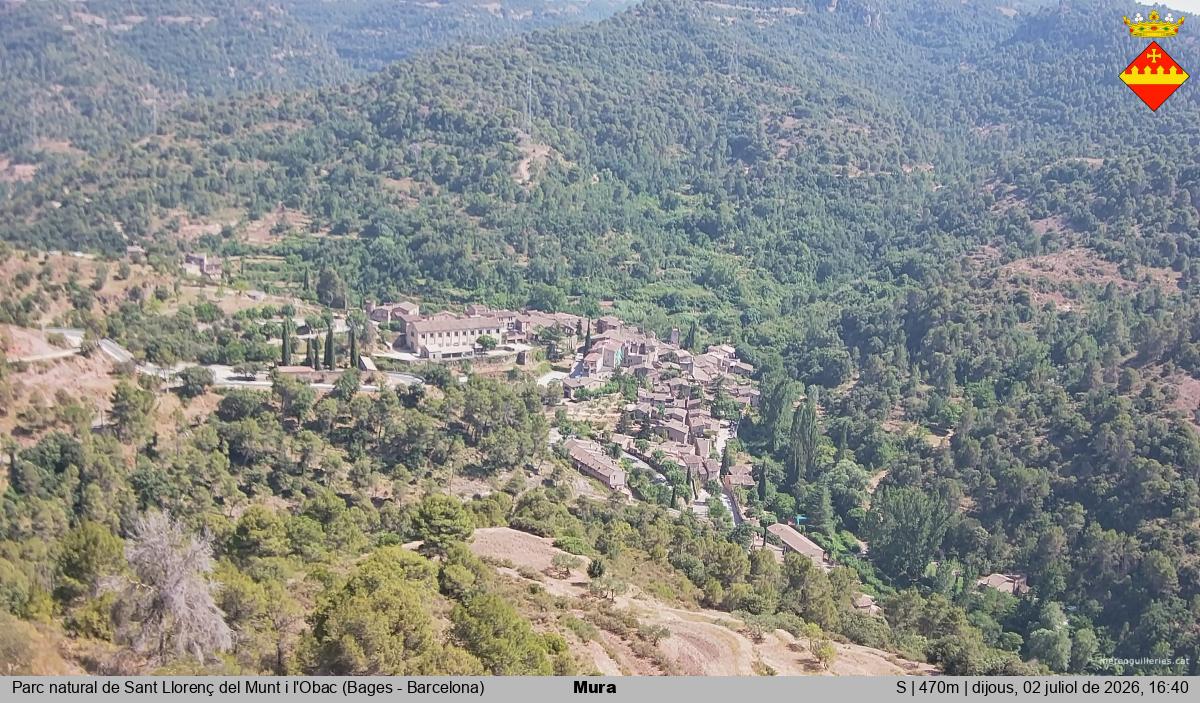 Mura 