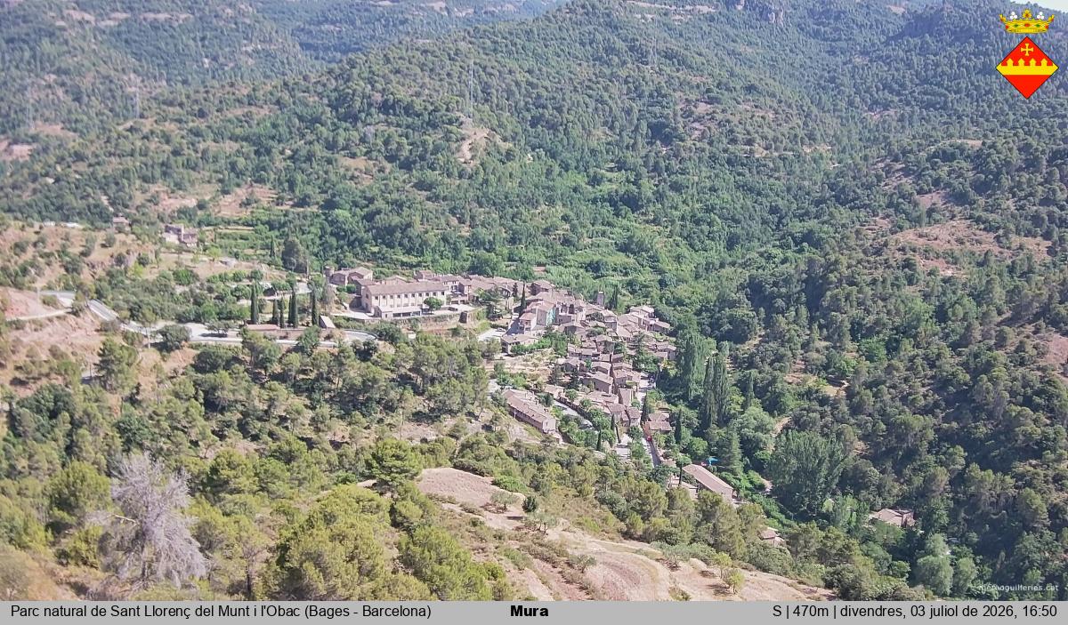 Mura 