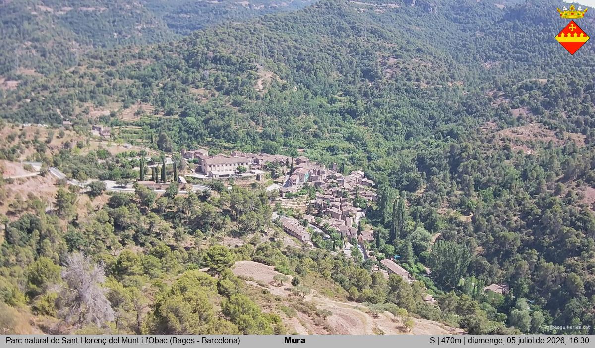 Mura 