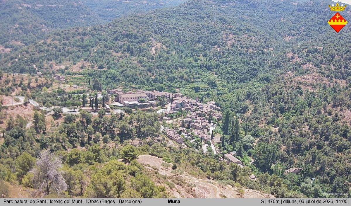 Mura 