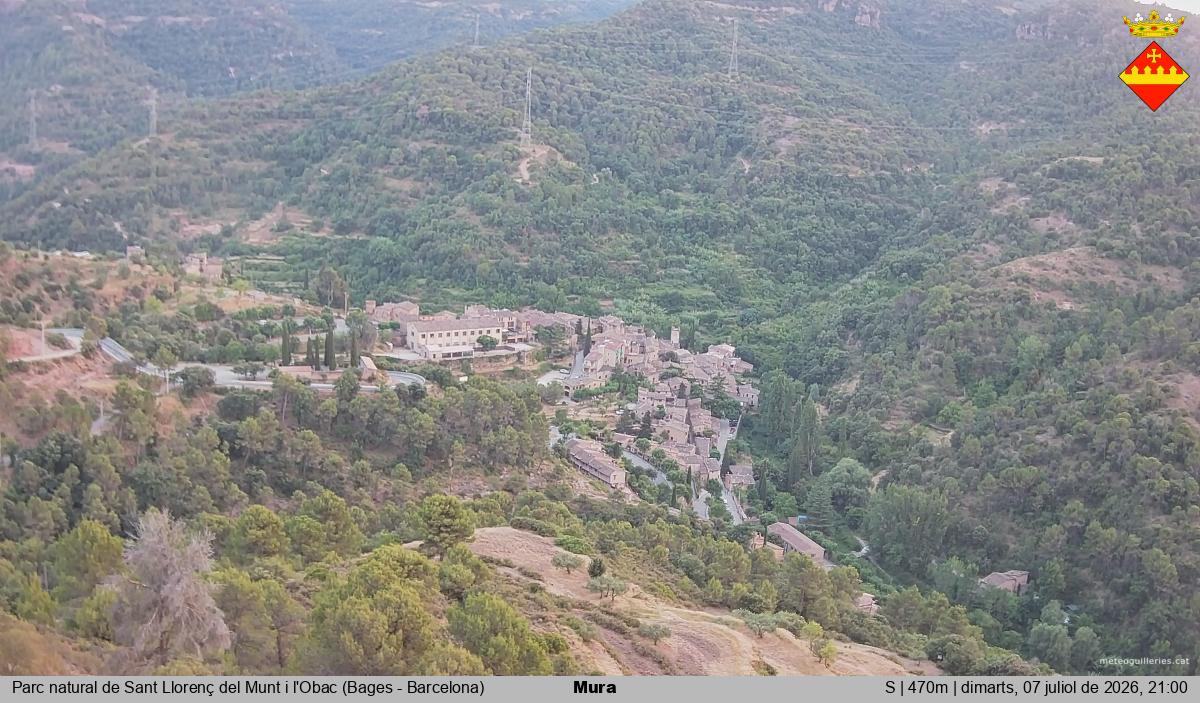 Mura 