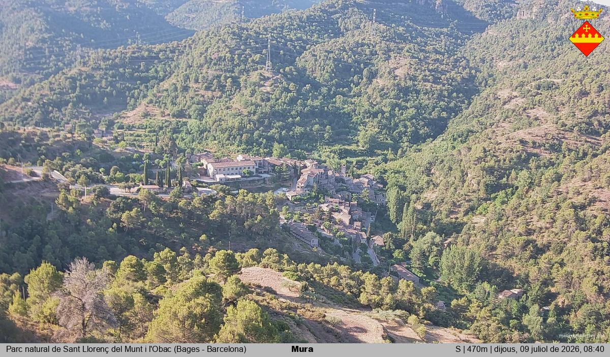 Mura 