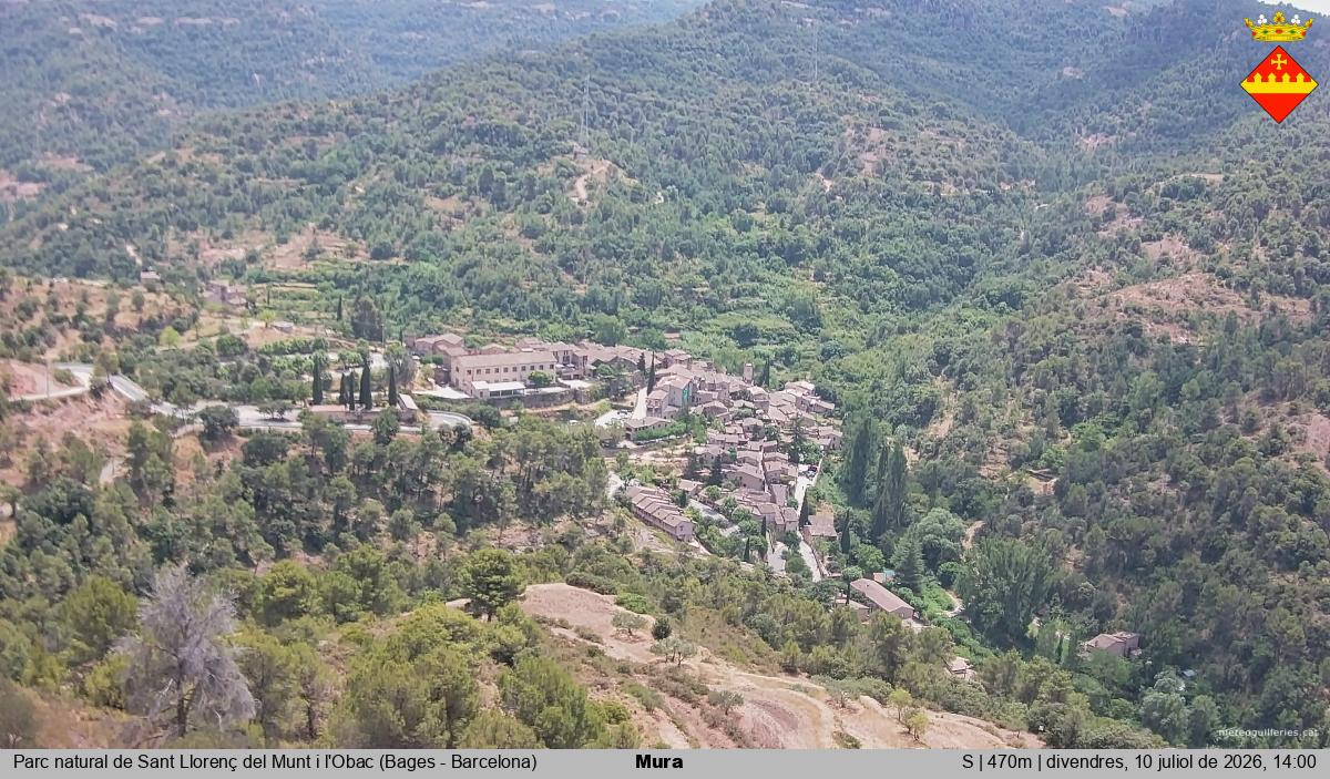 Mura 