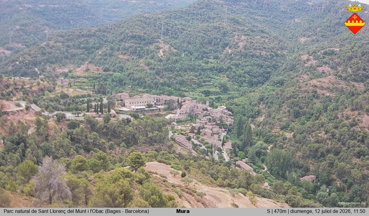 Mura 
