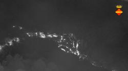 Webcams