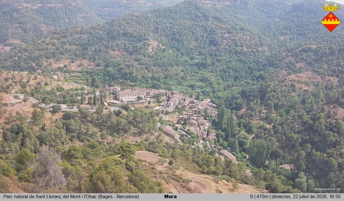 Mura 