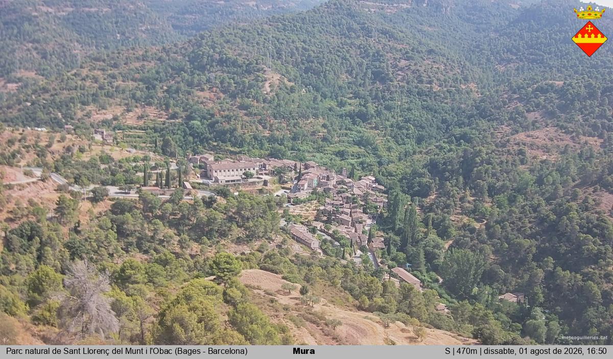 Mura 