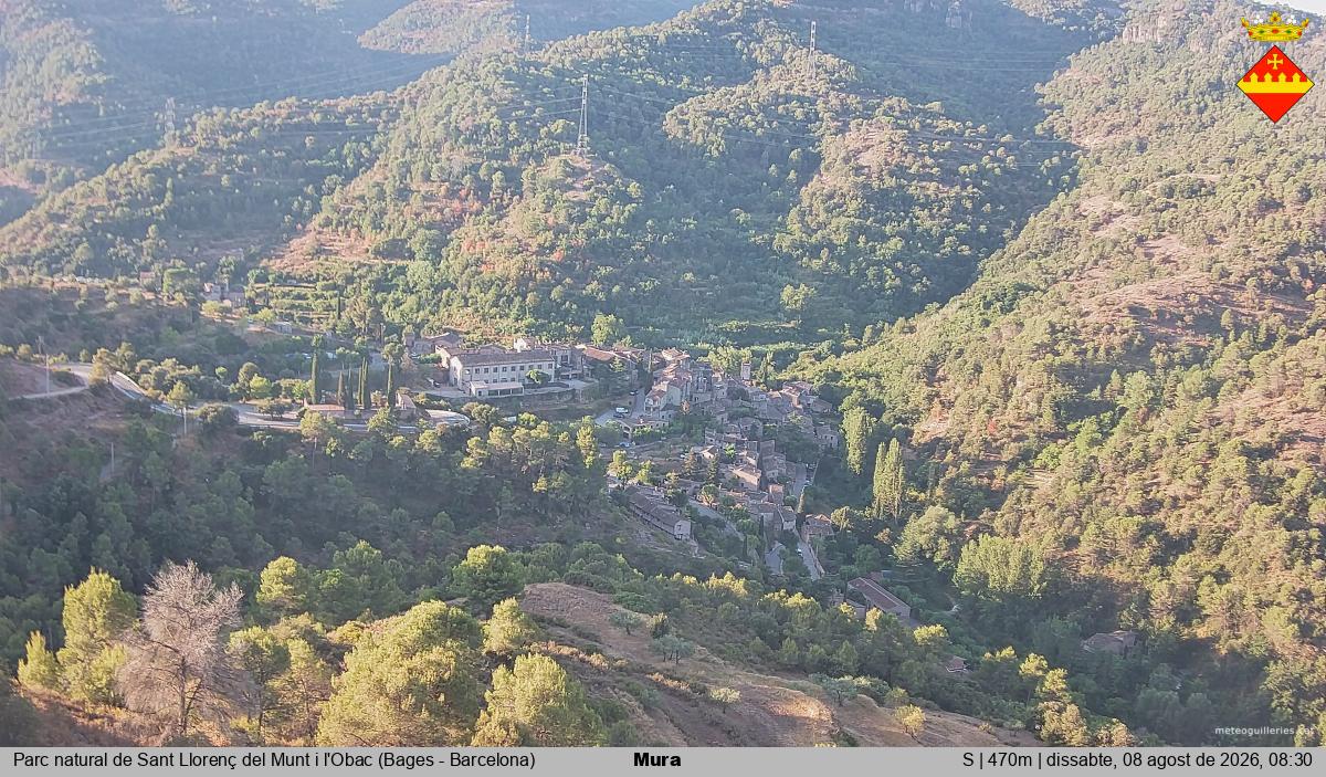 Mura 