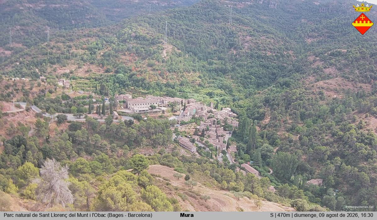 Mura 
