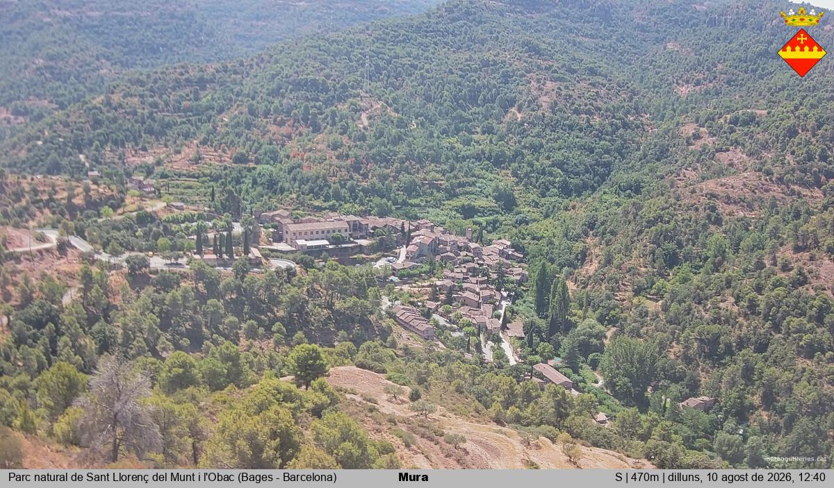 Mura 