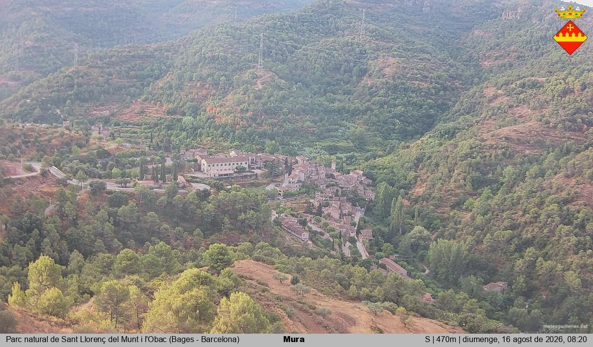 Mura 