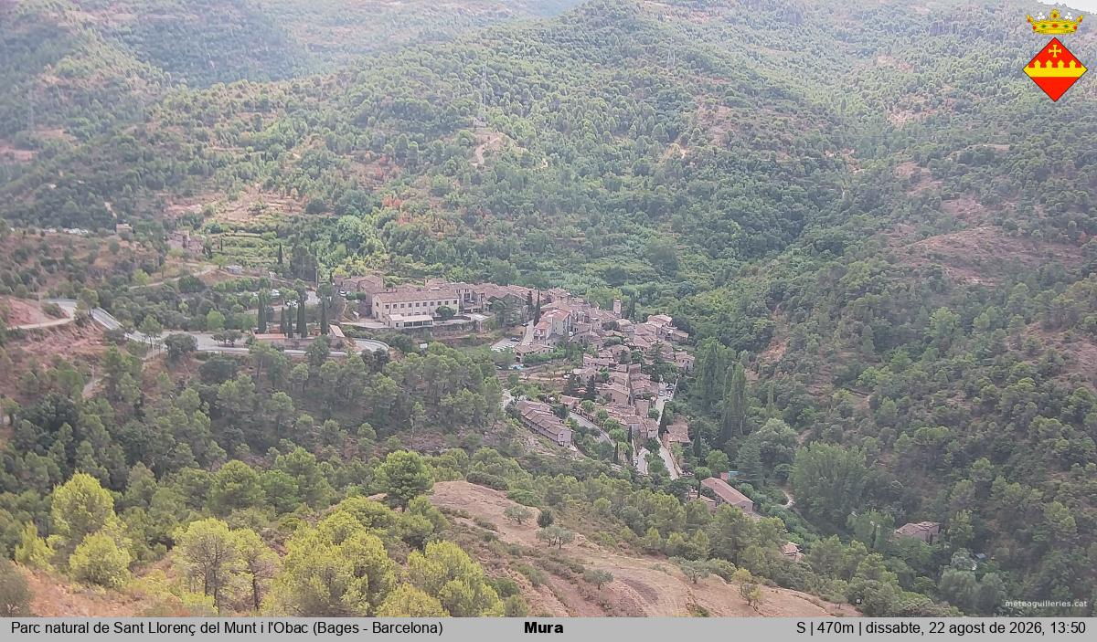 Mura 